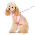 EasyGO Dots Step-In Dog Harness
