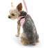 EasyGO Lemon Step-In Dog Harness