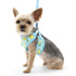 EasyGO Lemon Step-In Dog Harness