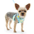 EasyGO Lemon Step-In Dog Harness