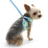 EasyGO Lemon Step-In Dog Harness