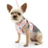 EasyGO Lemon Step-In Dog Harness