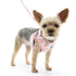 EasyGO Lemon Step-In Dog Harness