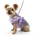 EasyGO Multi Ruffle Purple Step-In Dog Harness