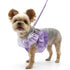 EasyGO Multi Ruffle Purple Step-In Dog Harness