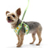 EasyGO Pineapple Step-In Dog Harness