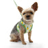 EasyGO Pineapple Step-In Dog Harness