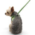 EasyGO Pineapple Step-In Dog Harness