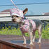 EasyGO Pineapple Stripe Step-In Dog Harness