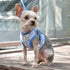 EasyGO Pineapple Stripe Step-In Dog Harness