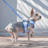 EasyGO Pineapple Stripe Step-In Dog Harness