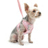 EasyGO Pineapple Stripe Step-In Dog Harness
