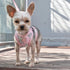 EasyGO Pineapple Stripe Step-In Dog Harness