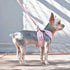 EasyGO Pineapple Stripe Step-In Dog Harness