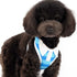 EasyGO Polo Step-In Dog Harness
