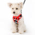 EasyGO Polo Step-In Dog Harness