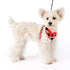 EasyGO Polo Step-In Dog Harness