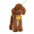 EasyGO Polo Step-In Dog Harness