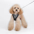 EasyGO Puffer Step-In Dog Harness