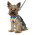 EasyGO Rainbow Step-In Dog Harness