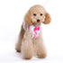 EasyGO Ruffle Step-In Dog Harness