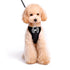EasyGO Sequin Step-In Dog Harness