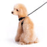 EasyGO Sequin Step-In Dog Harness