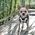 EasyGO Soccer Step-In Dog Harness