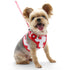 EasyGO Strawberry Step-In Dog Harness