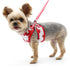 EasyGO Strawberry Step-In Dog Harness