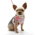 EasyGO Sweet Floral Step-In Dog Harness