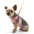 EasyGO Sweet Floral Step-In Dog Harness