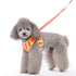 EasyGO Sweet Flower Step-In Dog Harness
