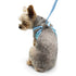 EasyGO Wildflower Step-In Dog Harness