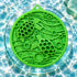 Enrichment eCoin Dog Lick Mat Water