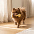 Espresso Muttini Dog Toy