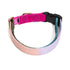 Flat Webbing Cotton Dog Collar Jolie