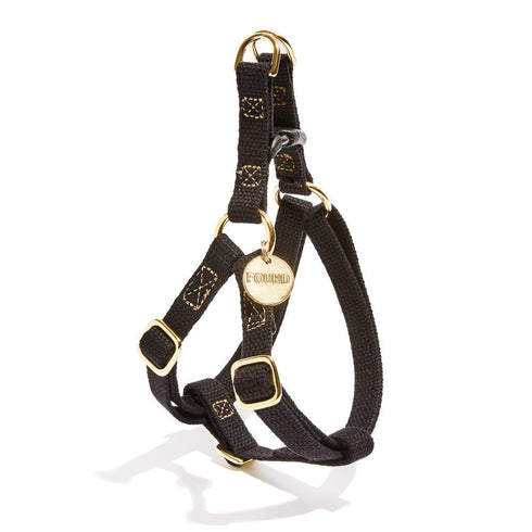 Flat Webbing Cotton Dog Harness Black/Gold