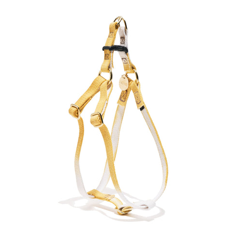 Flat Webbing Cotton Dog Harness Butterscotch