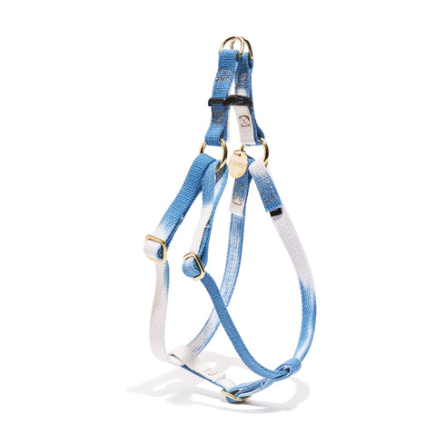 Flat Webbing Cotton Dog Harness Cobalt