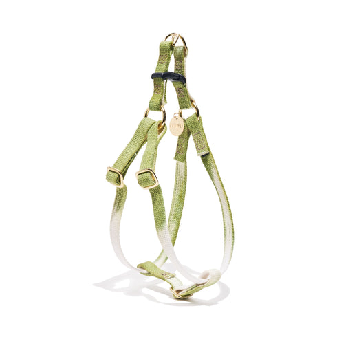 Flat Webbing Cotton Dog Harness Fern Green