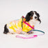 Flat Webbing Cotton Dog Harness Jolie