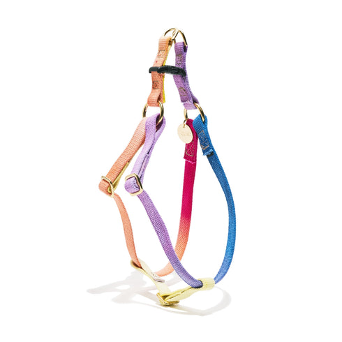 Flat Webbing Cotton Dog Harness Light Prismatic