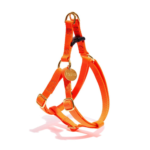 Flat Webbing Cotton Dog Harness Orange