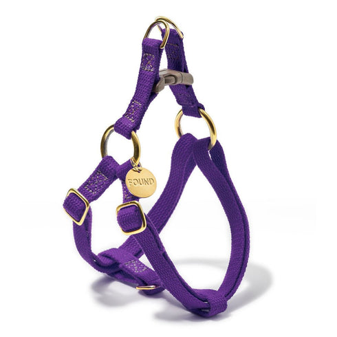 Flat Webbing Cotton Dog Harness Purple