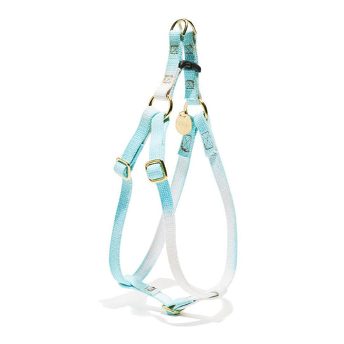 Flat Webbing Cotton Dog Harness Robins Egg