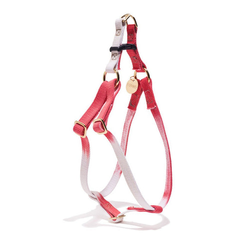 Flat Webbing Cotton Dog Harness Scarlet
