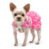 Floral Flounce Dog Dress