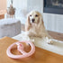 Fly Away Interactive Dog Toy Cotton Candy