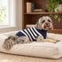 Flynn Stripe Alpaca Dog Sweater